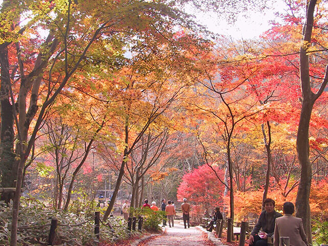 瑞宝寺公園