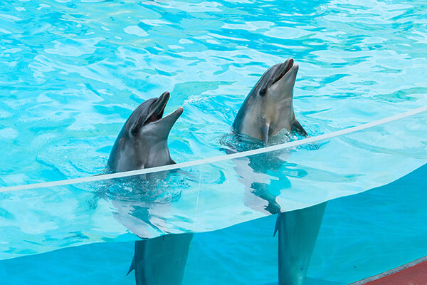 神戸市立須磨海浜水族園